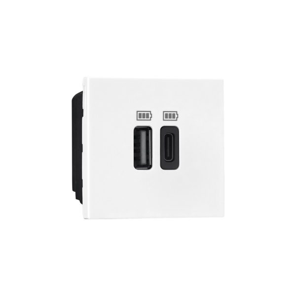 Allzy USB Charger-3000mA-Type A C-2 Module-White Legrand 681170 lg 681170 web r xpmyjsyfgmcrmncc