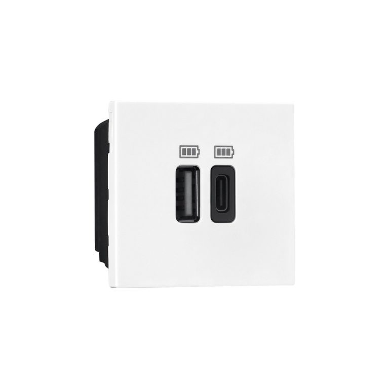 Allzy USB Charger-3000mA-Type A C-2 Module-White Legrand 681170 lg 681170 web r xpmyjsyfgmcrmncc