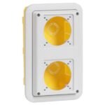 Flush mounting box P17 IP 55 for 2 panel mounting sockets inclined outlet , 57721 Legrand 057721 legrand 1000