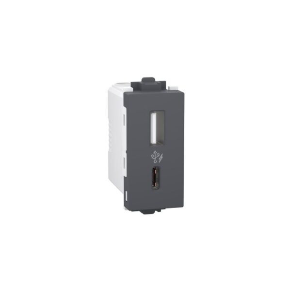 CPXACUSB1P1M_GY | 2.4A A+C USBCharger1M Grey - Schneider Electric