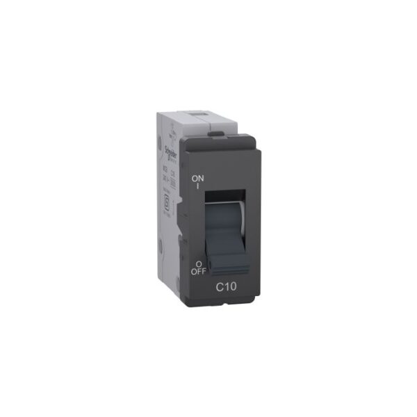 P8010_PG | 10A Mini Mcb, Pg,Gy - Schneider Electric