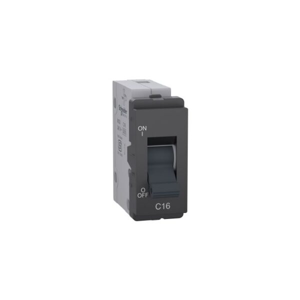 P8016_PG | 16A Mini Mcb, Pg,Gy - Schneider Electric