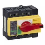 28919 | INS63 4P 63 A - Schneider Electric