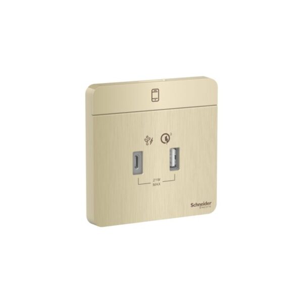 E8332ACQUSB_GH | 21W Type A+C, Pd+Qc3.0 Usb Charger, Gh - Schneider Electric