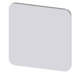 3SU1900-0AF81-0AA0 | Labeling plate for gluing on enclosure, label size 22x22mm, silver label, black font, without inscription, for self-labeling - Siemens