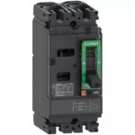 C10F2TM063 | NSX100F 18kA AC-DC 2P 63A TMD - Schneider Electric