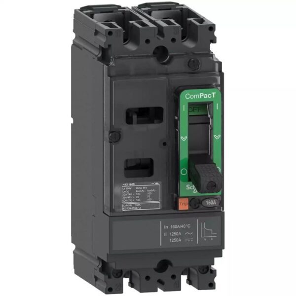 C10M2TM020 | NSX100M 25kA AC-DC 2P 20A TMD - Schneider Electric