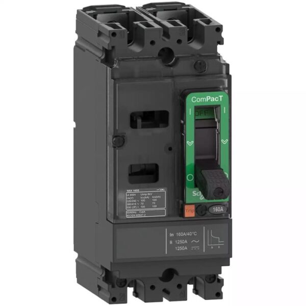C16S2TM125 | NSX160S 70kA AC-DC 2P 125A TMD - Schneider Electric