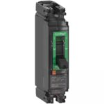 C25N1TM250 | NSX250N 25kA AC 1P 250A TMD - Schneider Electric