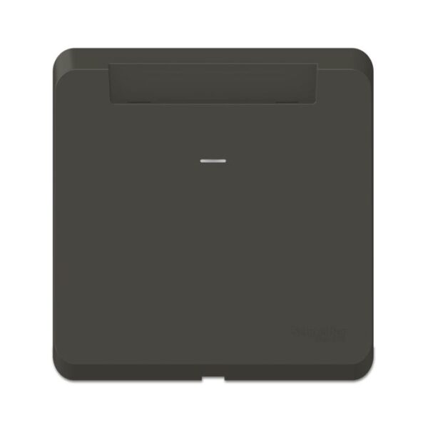 CPXKEYCARDSW_GY | ClipsalX-20A Electronic Keycard Switch* - Schneider Electric