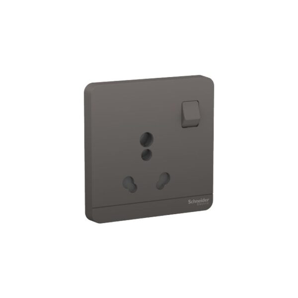 E8315_16_DG | 6_16A Sw Skt, Dg - Schneider Electric