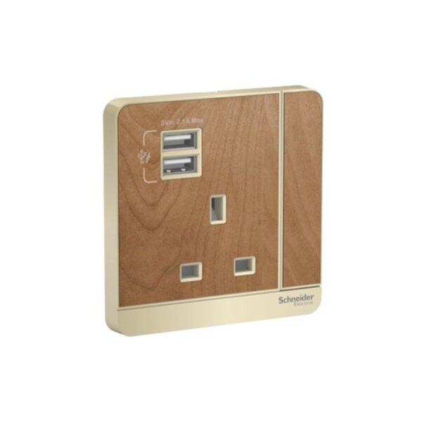 E8315USB_GH_G8 | Avataron-13A Switched Socket With 2.1A Usb Charger, Gh - Schneider Electric