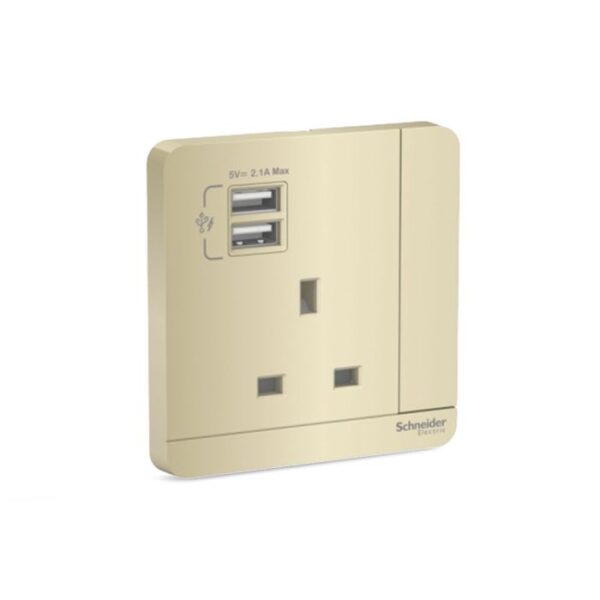E8315USB_WG_G8 | Avataron-13A Switched Socket With 2.1A Usb Charger, Wg - Schneider Electric