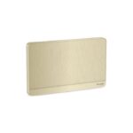 E8330TX_GH | Avataron-2G Blank Plate, Gh - Schneider Electric