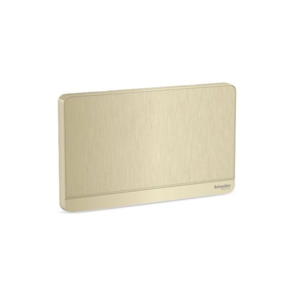 E8330TX_GH | Avataron-2G Blank Plate, Gh - Schneider Electric