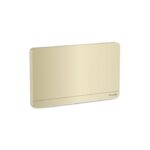 E8330TX_WG | Avataron-2G Blank Plate, Wg - Schneider Electric