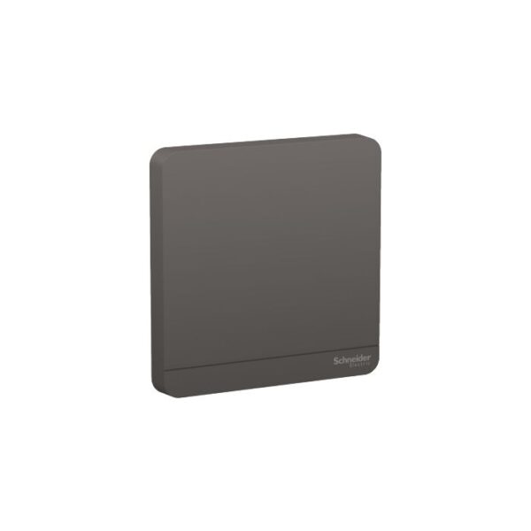 E8330X_DG | 1G Blank Plate, Dg - Schneider Electric