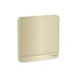 E8330X_GH | Avataron-1G Blank Plate, Gh - Schneider Electric