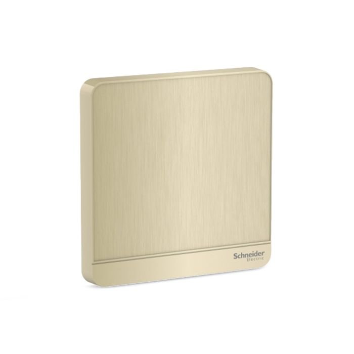 e8330x_gh_01.jpg E8330X_GH | Avataron-1G Blank Plate, Gh - Schneider Electric - Image 1