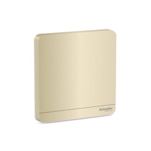 E8330X_WG | Avataron-1G Blank Plate, Wg - Schneider Electric