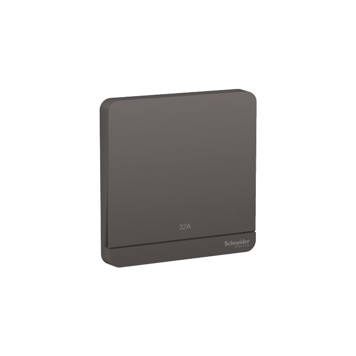 e8331d32n_dg_g8_web.jpg E8331D32N_DG_G8 | 32A 250V 1G Dp Sw W Led, Dg - Schneider Electric - Image 1