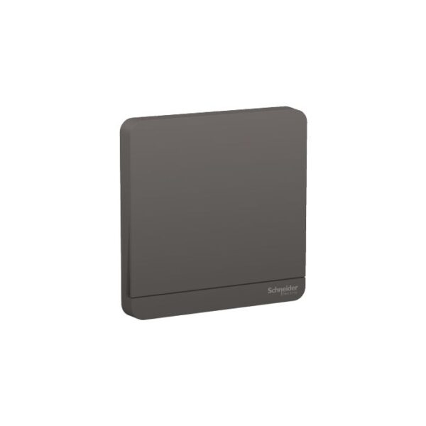E8331L1_DG_G8 | 16Ax 250V 1G 1W Sw, Dg - Schneider Electric