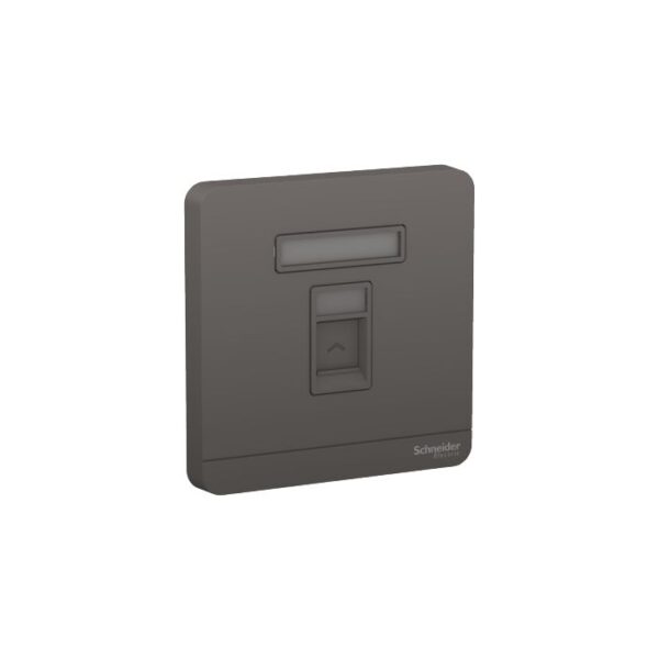 E8331RJS5_DG | 1G RJ45 DATA CAT5E SHUTTERED DG - Schneider Electric