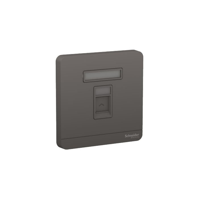 e8331rjs5_dg_web.jpg E8331RJS5_DG | 1G RJ45 DATA CAT5E SHUTTERED DG - Schneider Electric - Image 1