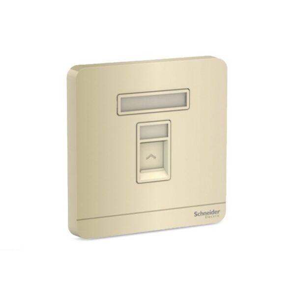 E8331RJS5_WG | Avataron-1G Rj45 Data Cat5E, Shuttered, Wg - Schneider Electric