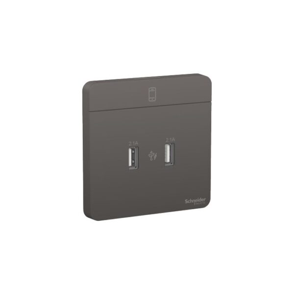 E8332USB_DG_G8 | 2 X 2.1A Usb Charger, Dg - Schneider Electric