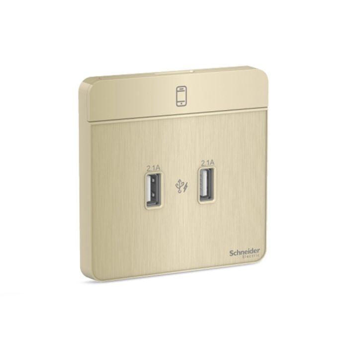 e8332usb_gh_01.jpg E8332USB_GH_G8 | Avataron-2 X 2.1A Usb Charger, Gh - Schneider Electric - Image 1