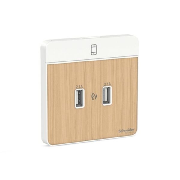 E8332USB_LW_G8 | Avataron-2 X 2.1A Usb Charger, Lw - Schneider Electric