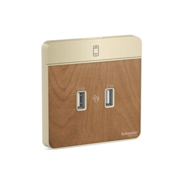 E8332USB_WD_G8 | Avataron-2 X 2.1A Usb Charger, Wd - Schneider Electric