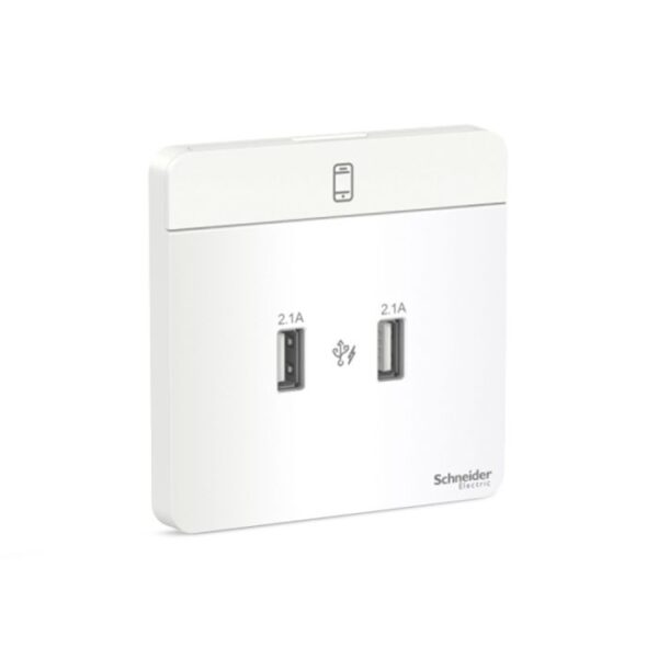 E8332USB_WE_G8 | Avataron-2 X 2.1A Usb Charger, We - Schneider Electric
