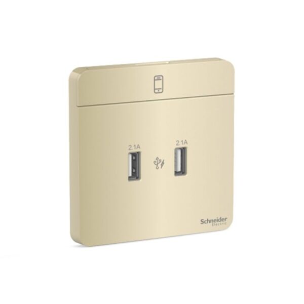 E8332USB_WG_G8 | Avataron-2 X 2.1A Usb Charger, Wg - Schneider Electric