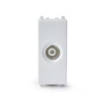 IN8431TV | Zencelo-TV Socket - Schneider Electric