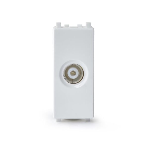 IN8431TV | Zencelo-TV Socket - Schneider Electric