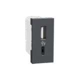 MLUSBAC1M_AN | Usb Charger, Miluz Lara, A+C Type, 100-240V, 2.4A, 12W, 1 Module, Anthracite - Schneider Electric