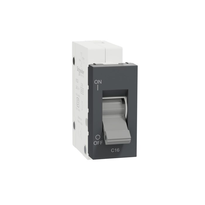 mzmm161p_an_200s0000_5.png MZMM161P_AN | Miniature Circuit-Breaker, Miluz Zeta, 16A, C-Curve, 1 Module, Anthracite - Schneider Electric - Image 1
