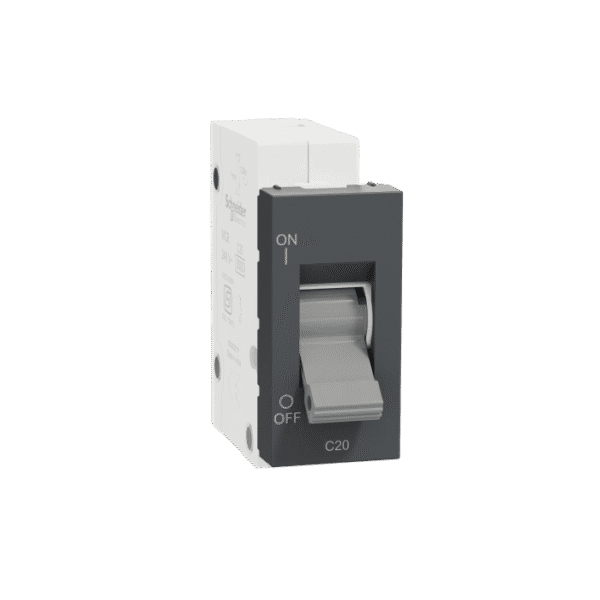 MZMM201P_AN | Miniature Circuit-Breaker, Miluz Zeta, 20A, C-Curve, 1 Module, Anthracite - Schneider Electric