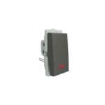 P1081_PG | 10A 1 Way Sw With Indicator Lamp, Pg - Schneider Electric