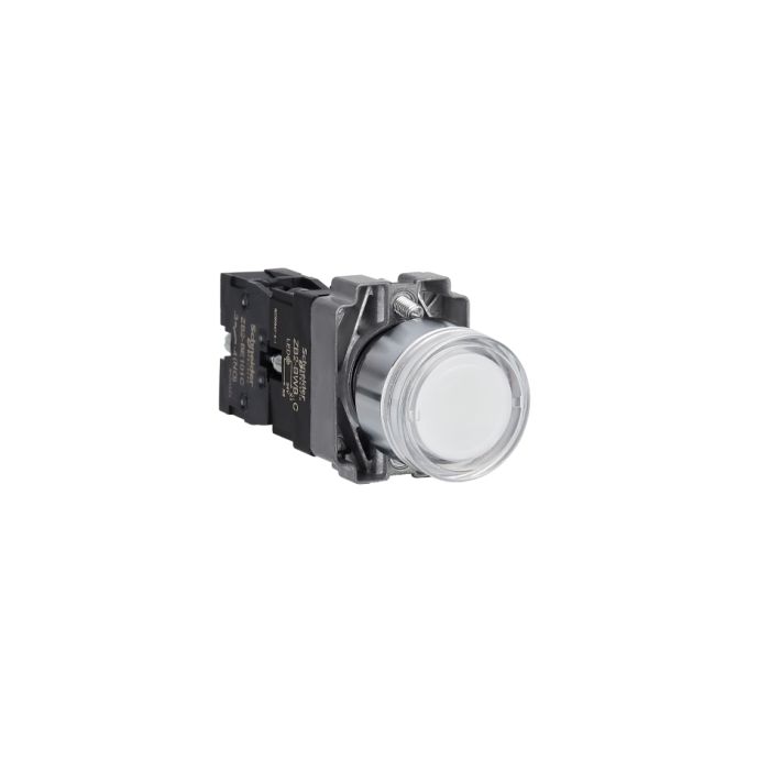 row-216.jpg XB2BW31B1C | Illuminated push button white AC/DC 24 V - Schneider Electric - Image 1