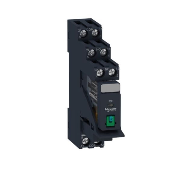 RXG21BDPV | Zelio Relay,Zelio Rxg Relay With Ltb And Socket2C/O 5A 24Vdcwith Diode - Schneider Electric
