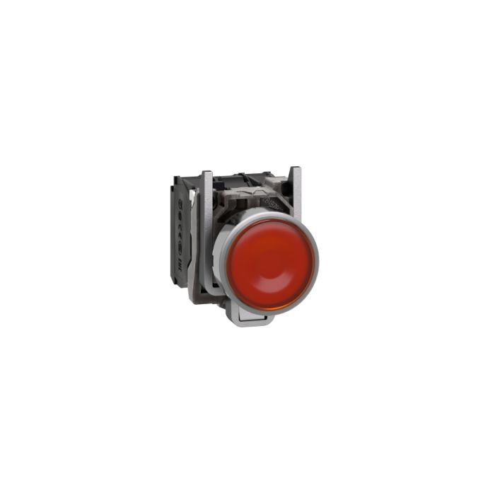 xb4bw35b5_main_2023_web.jpg XB4BW35B5 | ILLUMINATED PUSHBUTTON - Schneider Electric - Image 1