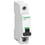 A9N2P32BGN | Acti9 xC60 2P B curve 32A MCB - Schneider Electric