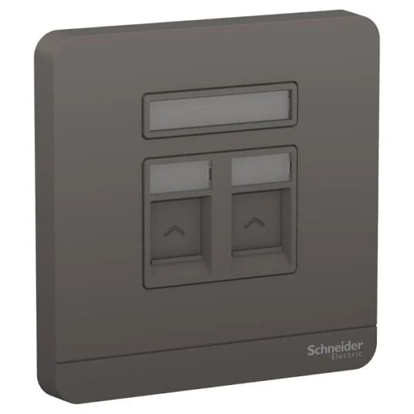 E8332TDRJS5_DG | 1G TEL + RJ45 DATA CAT5E SHUTTERED DG - Schneider Electric