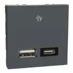 MZUSBAC2MPDH_AN | A+C USBCharger PD Hztl 2M Anthracite - Schneider Electric