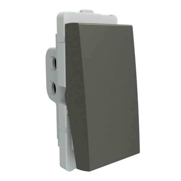 P1001_PG_N | 10A 1 way SW, PG - Schneider Electric