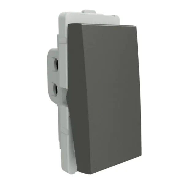 P1101_PG_N | 16A 1-way SW, PG - Schneider Electric