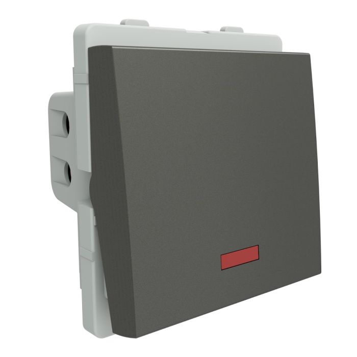 p1132_pg_n_front.jpg P1132_PG_N | 32A DP with indicator lamp SW 2M,PG - Schneider Electric - Image 1